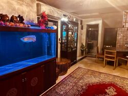 Seletar Hills Estate (D28), Detached #472877031